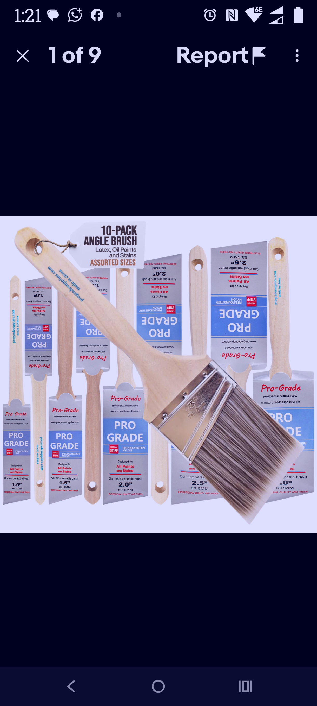 10-pack paint brush